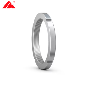 Đai ốc khóa AN 19 FK