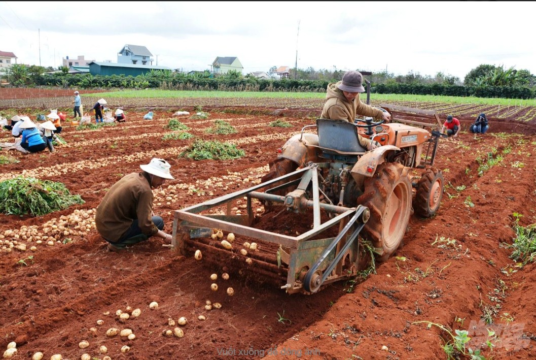 Hình minh họa: Gối đỡ FK UCP205 – hình 6
