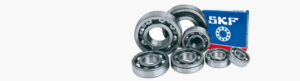 skf bearing 300x81