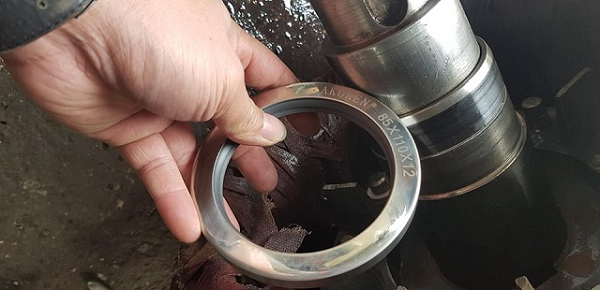 Genuine SKF oil seal | Oil seal | SKF seal